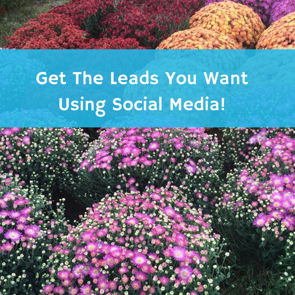 leads-socialmedia